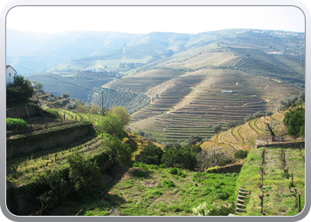 722  De Douro valle