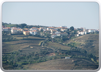 723  De Douro valle