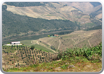 735  De Douro valle