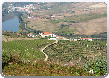 736  De Douro valle