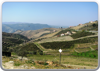 746  De Douro valle
