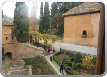 Alhambra (146)