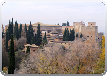 Alhambra (36)