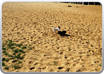 007 Spelen op het strand van Vilamoura (1)