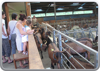 635 De boerderij bewoners