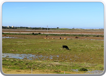 046 Op weg naar Asilah (12)