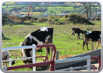 051 Op weg naar Larache (7)