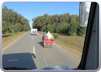 064 Moulay Bousselham (1)