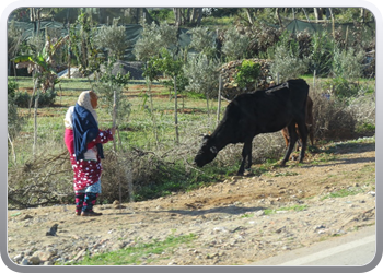 064 Moulay Bousselham (2)