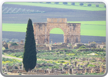 066 Volubilis (1)