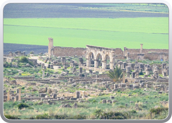 066 Volubilis (2)