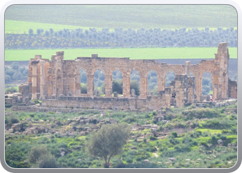 066 Volubilis (3)