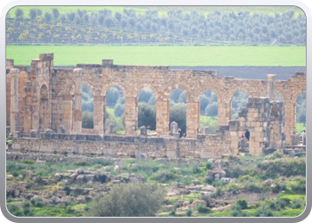 066 Volubilis (4)