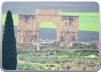 066 Volubilis (5)