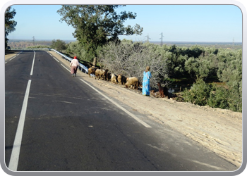 071 Op weg van Khinefra naar Ouzoud (18)