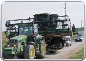 21 Ritje door Delte del Ebre rijstoogst machine