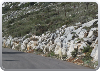 eltorcal (10)