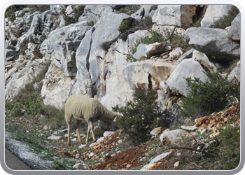 eltorcal (12)