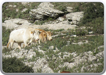 eltorcal (27)