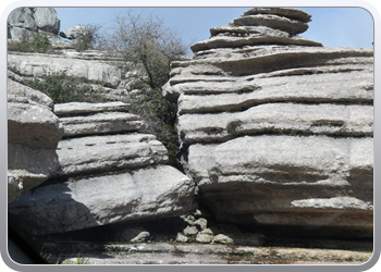 eltorcal (37)