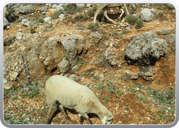 eltorcal (8)