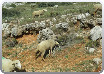 eltorcal (9)