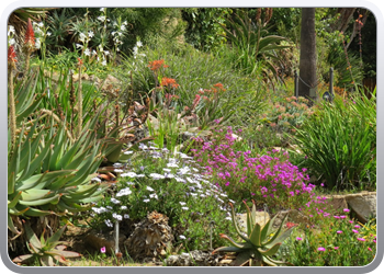 Plantentuin Blanes (10)