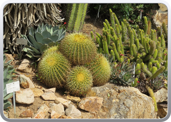 Plantentuin Blanes (17)