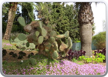 Plantentuin Blanes (26)