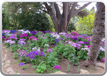 Plantentuin Blanes (31)