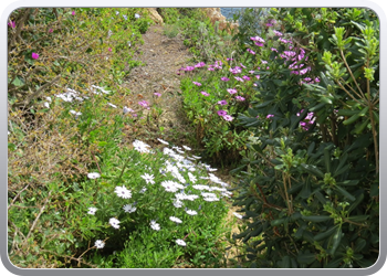 Plantentuin Blanes (48)