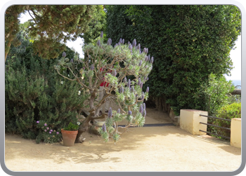 Plantentuin Blanes (50)