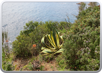 Plantentuin Blanes (58)