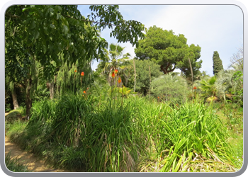 Plantentuin Blanes (69)