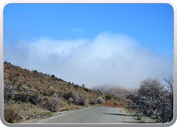 001 Route van Tafraoute tot Taliouine (16)