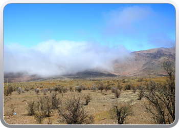 001 Route van Tafraoute tot Taliouine (20)