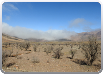 001 Route van Tafraoute tot Taliouine (21)