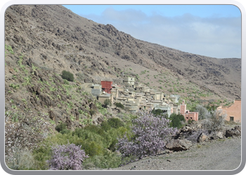 001 Route van Tafraoute tot Taliouine (23)