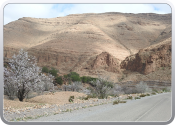 001 Route van Tafraoute tot Taliouine (32)