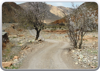 001 Route van Tafraoute tot Taliouine (40)