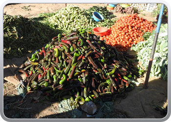 040 Markt Taroudant (11)