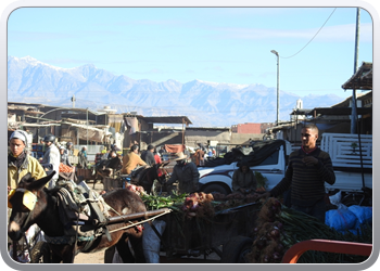 040 Markt Taroudant (17)