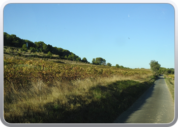 002 Vertrek uit Castelnau du Guers (2)