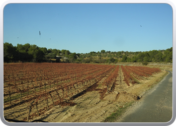 002 Vertrek uit Castelnau du Guers (5)