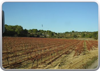 002 Vertrek uit Castelnau du Guers (6)