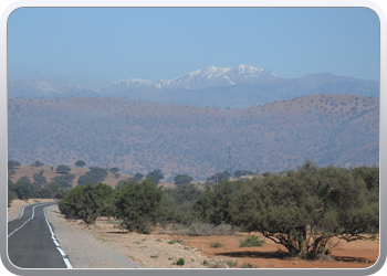 033 van Taliouine naar Taroudant (24)