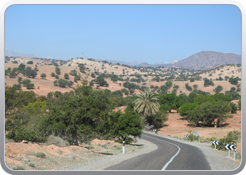 033 van Taliouine naar Taroudant (28)