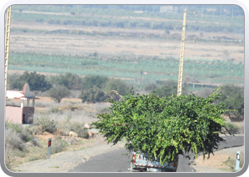 033 van Taliouine naar Taroudant (30)