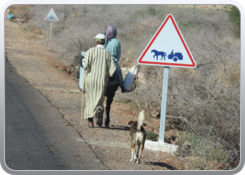 033 van Taliouine naar Taroudant (32)