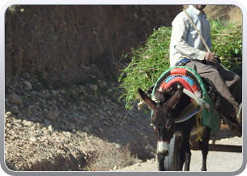 033 van Taliouine naar Taroudant (36)